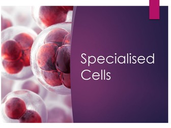 Specialised Cells