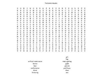 The Swine Industry Word Search for an Ag. II Animal Science Course