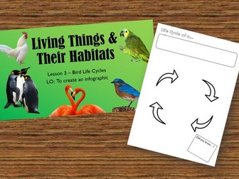 Year 5 Living Things and the Habitats Lesson 3 - Bird Life Cycles
