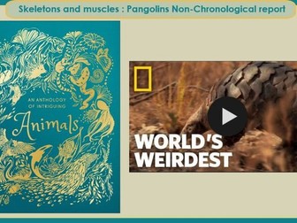 Skeletons and muscles Y3/4 Write Stuff (Pangolins non chronological report unit)