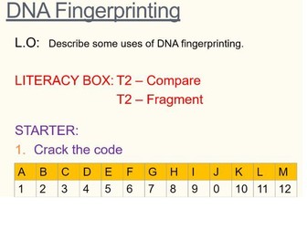 Activate 3 B3C3 Detection DNA Fingerprinting Lesson 3