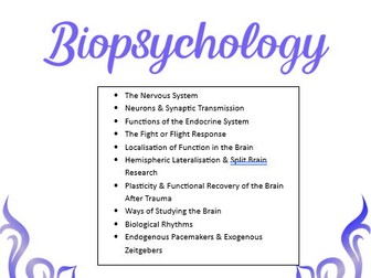 A-Level Psychology Biopsychology Notes