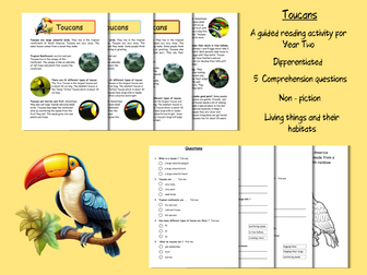Guided  Reading Comprehension for Year Two - Toucans (Non Fiction)