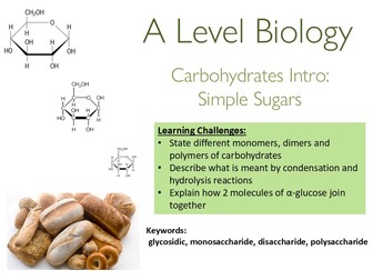 OCR A level Biology - Carbohydrates