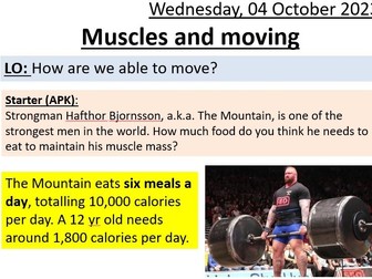 Muscles & Moving (Joints) - SEN/LAP