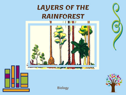 Layers of the Rainforest Nomenclature Cards | Teaching Resources