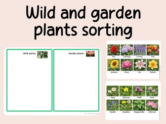 wild-garden plant sorting- Science- Plants- continuous provision