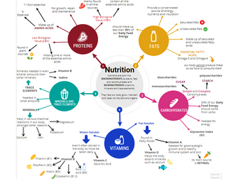 WJEC Food Preparation and Nutrition Revision Infographic - Nutrients