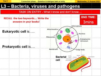 L3 – Bacteria, viruses and pathogens