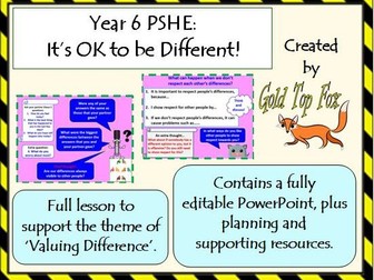 Year 6 PSHE & Citizenship Lesson - It's OK to be Different