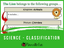 Classification of Living Things / Groups / Taxonomy - The Lion! From Kingdom to Species!