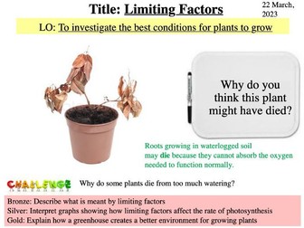 Year 8 Science Biology- Limiting Factors