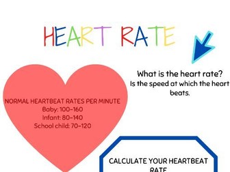 HEART RATE ACTIVITY