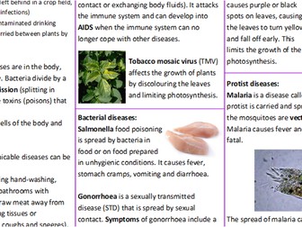 Infection and Response - Critical Content Sheet (AQA GCSE Biology - Triple)