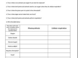 Plants (Intro/review) Photosynthesis and respiration Reading & questions
