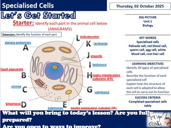 Specialised Cells- AAQ Applied Science
