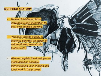 GCSE Art Digital Sketchbook - Metamorphosis