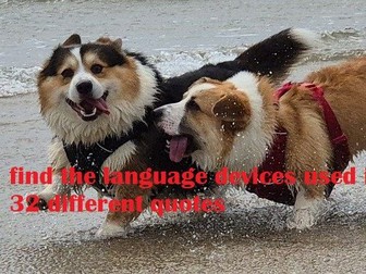 Identify the linguistic device
