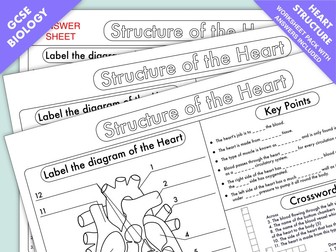 GCSE Biology: Heart Structure Worksheet Pack