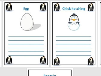 Life cycle of a chick and emperor penguin booklets