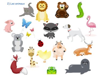 Les couleurs - French colours - activity with animals and ice cream