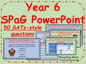 50 question year 6 SPaG revision PowerPoint