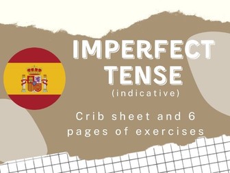 Spanish Imperfect Tense Exercises
