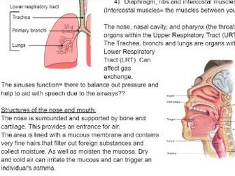 The Respiratory System