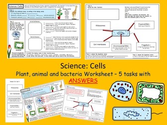 Science cover worksheet/cover work: Cells