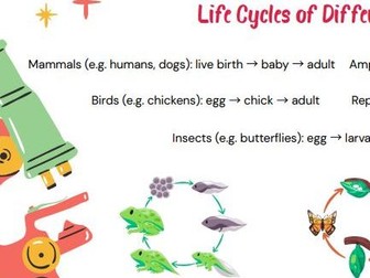 Year 5 science lifecycle and reproduction revision poster