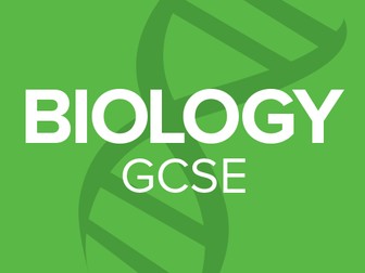 GCSE Biology - Photosynthesis