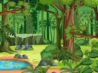 The Great Kapok Tree Guided Reading