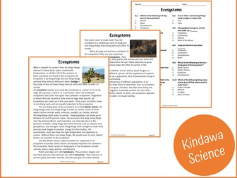 Ecosystems Reading Comprehension Passage and Questions - PDF