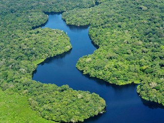 Amazon Rainforest Deforestation Case Study