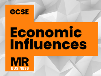 Economic Influence on Business - With activity