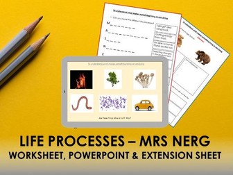 MRS NERG Life processes - worksheet, PowerPoint