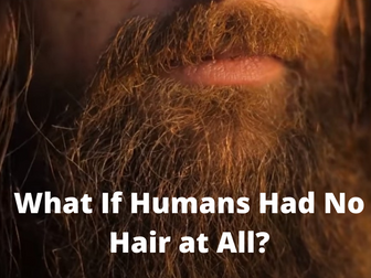 What If Humans Had No Hair at All?