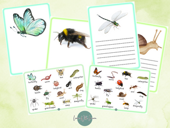 Minibeast writing pack