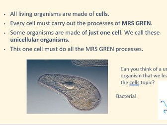 Full set of Ks3 lessons on Microorganisms - Edexcel