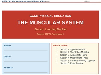 Muscular System | Edexcel GCSE PE | Student Booklet – Write-In Activities