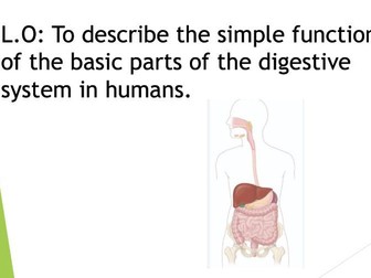 Science - Animals, including humans Year 4 Bundle  (full unit of work).
