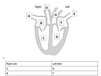 AQA (8582) GCSE PE Booklet - Cardio-Respiratory System - Instructional Teaching