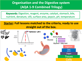 B3 Organisation and the Digestive System (AQA 1-9 Combined Trilogy)