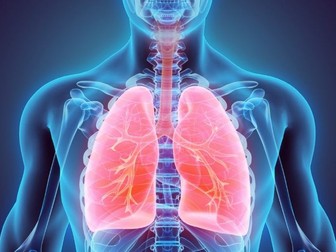 IGCSE Edexcel Biology chapter 3 revision notes