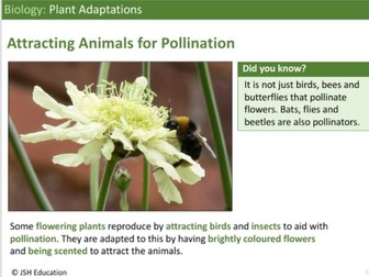 KS3 Biology: Plant Adaptations
