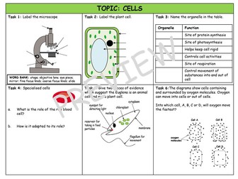 Cells assessment