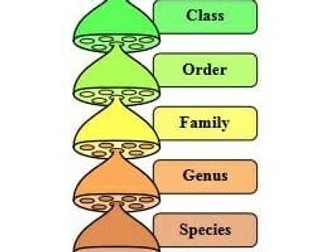 OCR BIO AS classification Structured Task