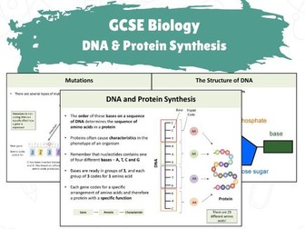 GCSE Biology - DNA & Protein Synthesis