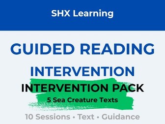 KS1 Reading Intervention Pack | Year 1 | 10 Structured Sessions for Early Readers | Teacher-Ready