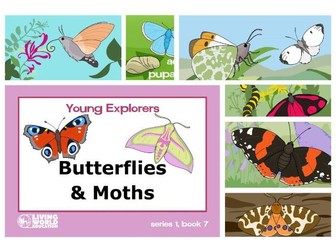 Butterflies and Moths ebook